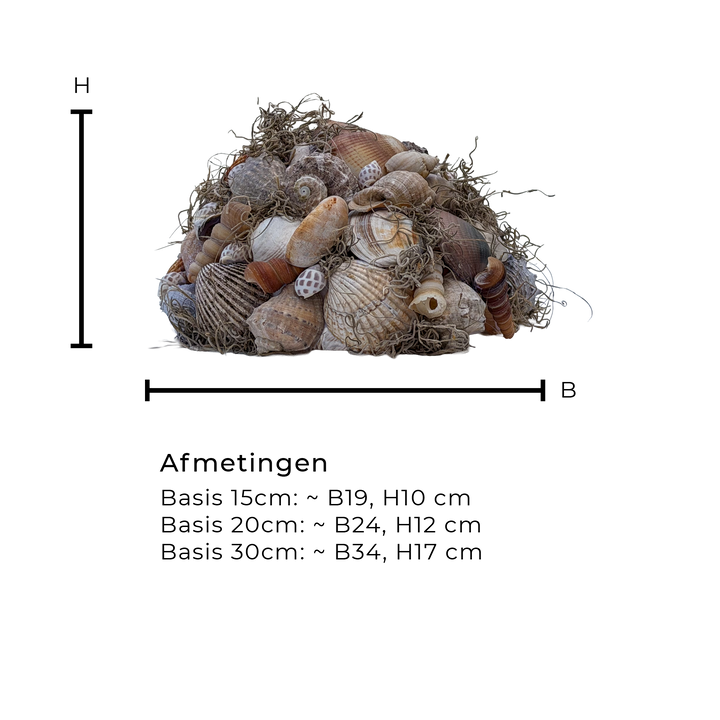 Halve Bol met Schelpen en Tillandsia Mos