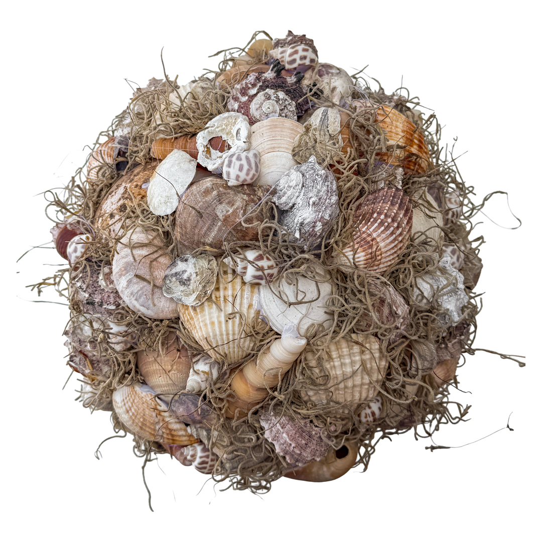 Halve Bol met Schelpen en Tillandsia Mos