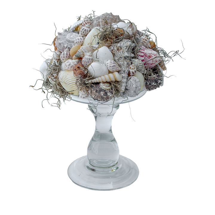 Halve Bol met Schelpen en Tillandsia Mos