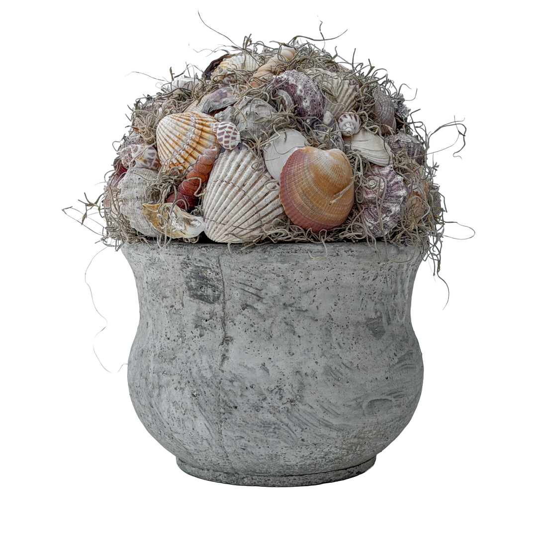 Halve Bol met Schelpen en Tillandsia Mos