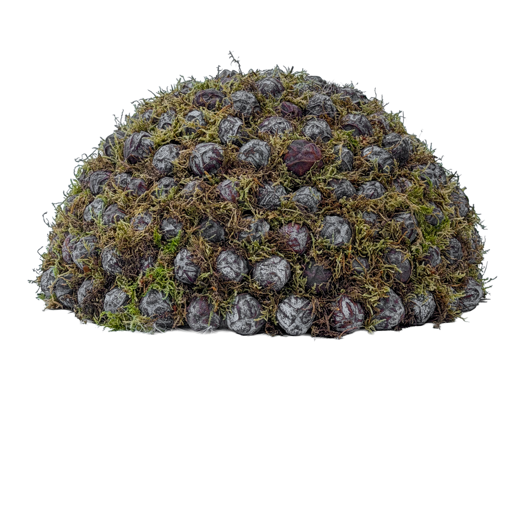 Halve Bol met Anijsfruit en Mos