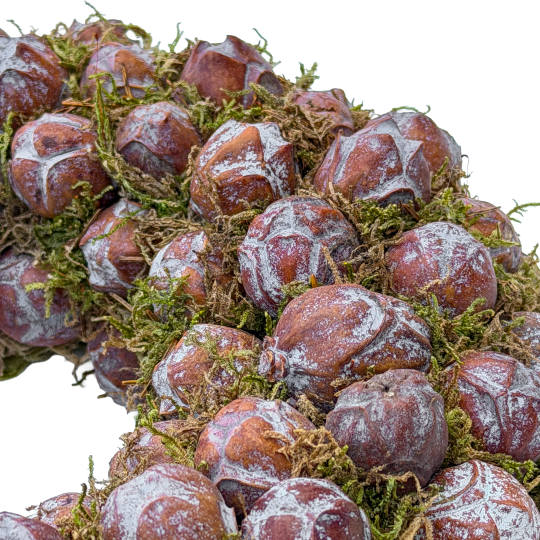 Krans van Natuurlijk Anijsfruit en Mos