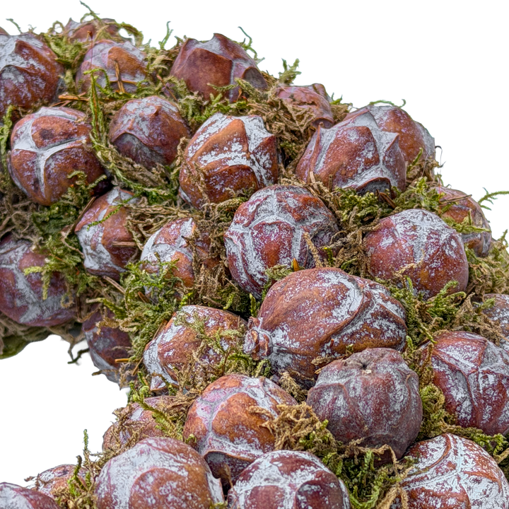 Krans van Natuurlijk Anijsfruit en Mos