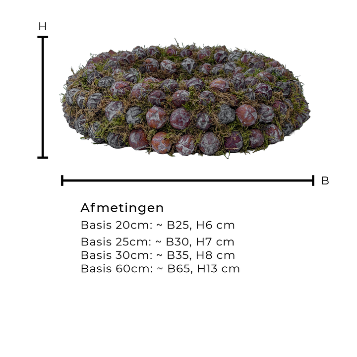 Krans van Natuurlijk Anijsfruit en Mos