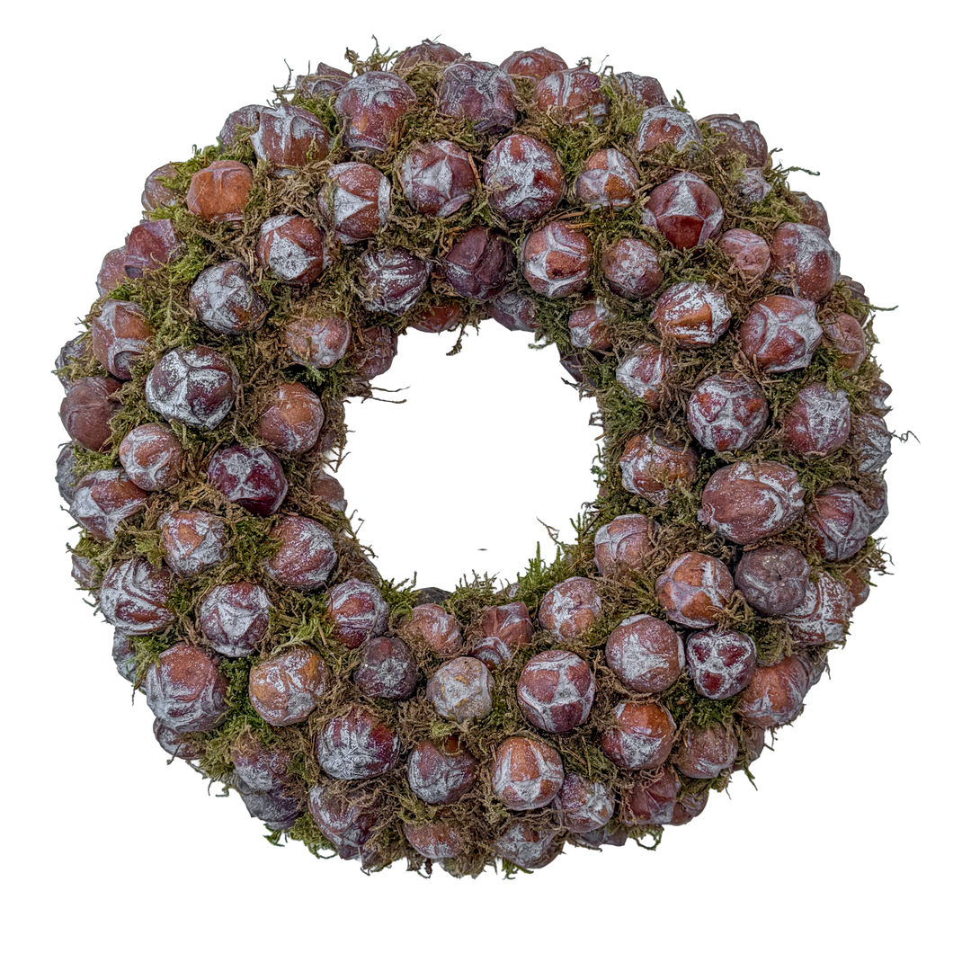 Krans van Natuurlijk Anijsfruit en Mos