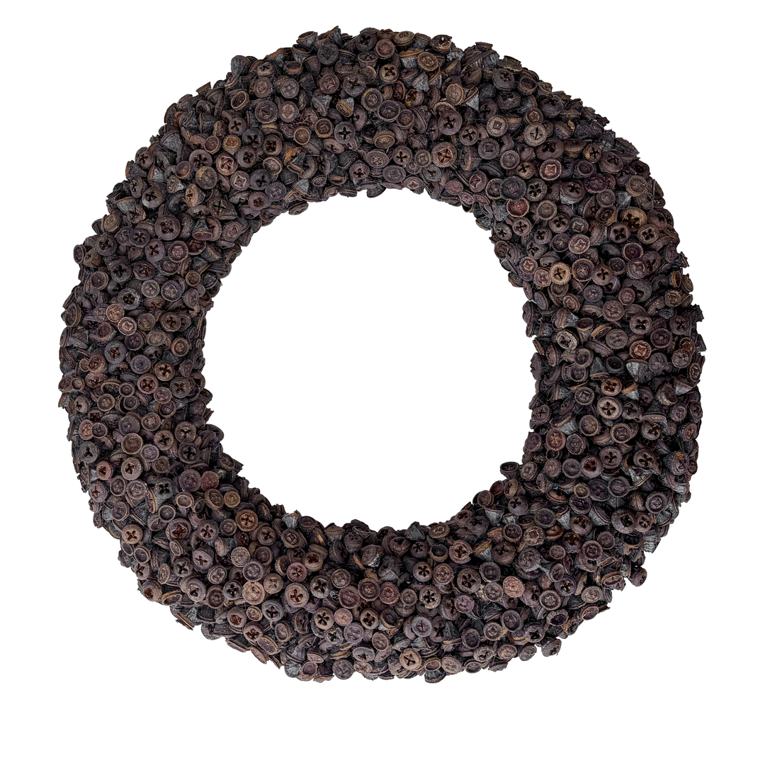 Krans van Eucalyptus Fruit
