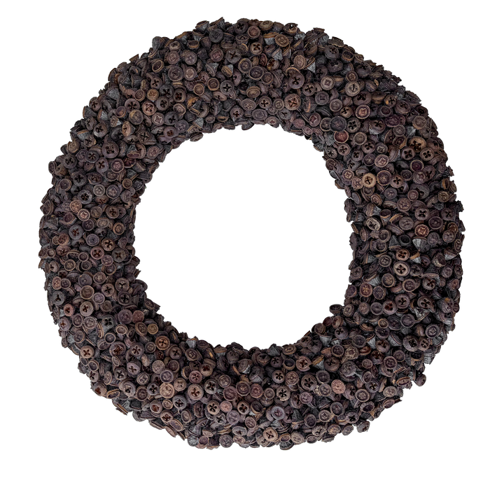 Krans van Eucalyptus Fruit