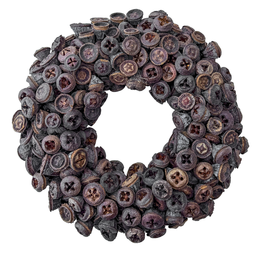 Krans van Eucalyptus Fruit