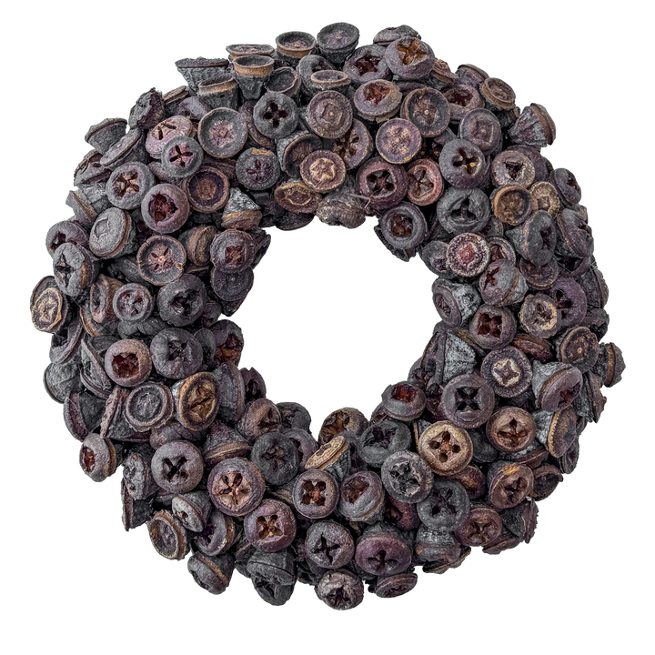 Krans van Eucalyptus Fruit