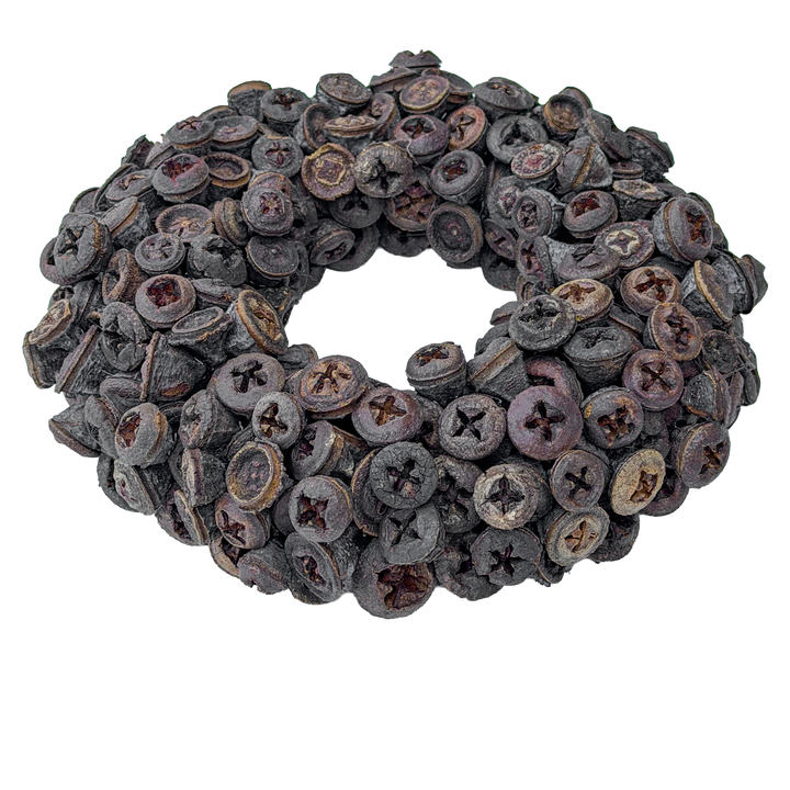 Krans van Eucalyptus Fruit