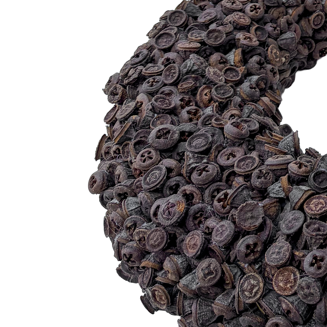 Krans van Eucalyptus Fruit