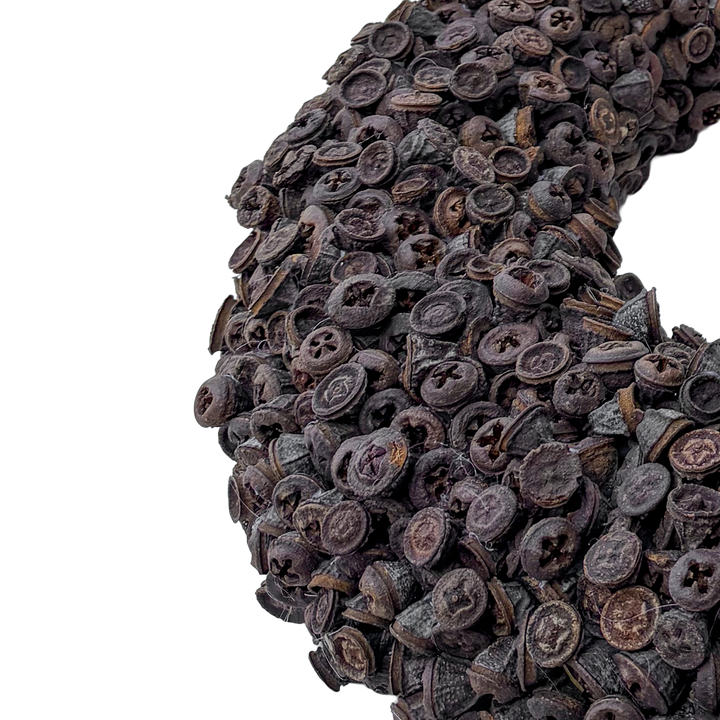 Krans van Eucalyptus Fruit